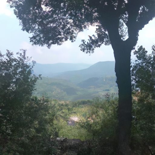 复是忆什么意思（复意思是什么意思）
