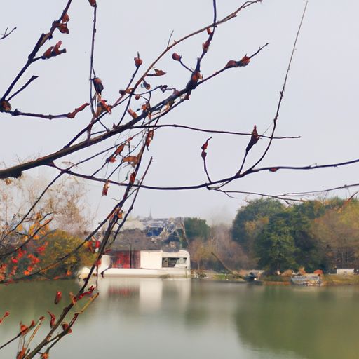 君心犹不知是什么古诗（君心犹不知是什么古诗句）