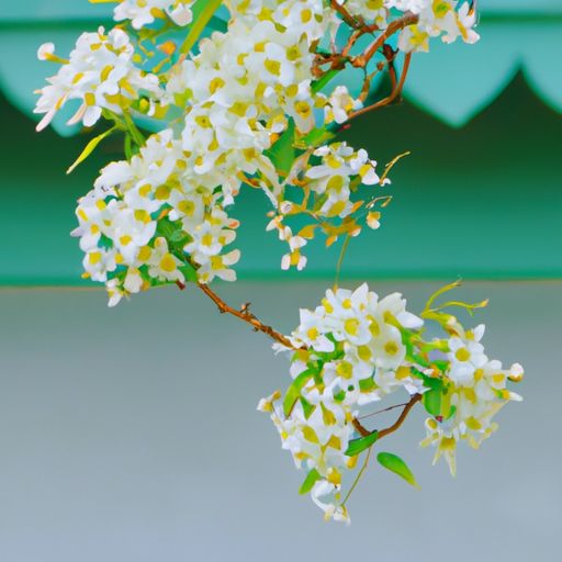 清明这首诗是写的什么意思（清明这首诗是写的什么意思呢）