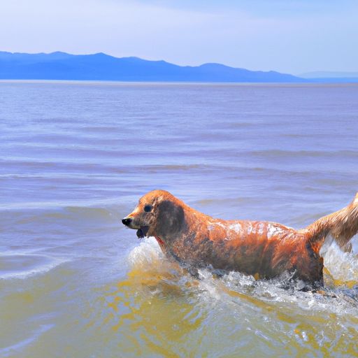 汪然出涕的涕指什么 汪然出涕的涕指什么