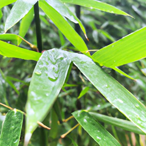 竹怜新雨后什么意思（竹怜新雨后打一动物）