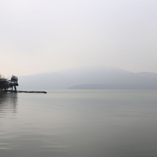 浪什么古诗一句是什么（浪什么古诗一句是什么意思）