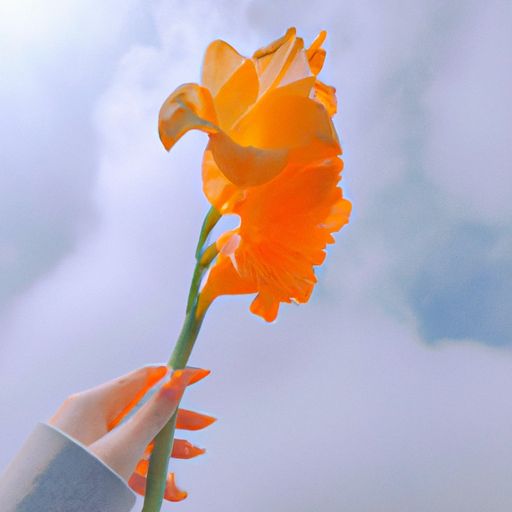 夏人是什么意思
