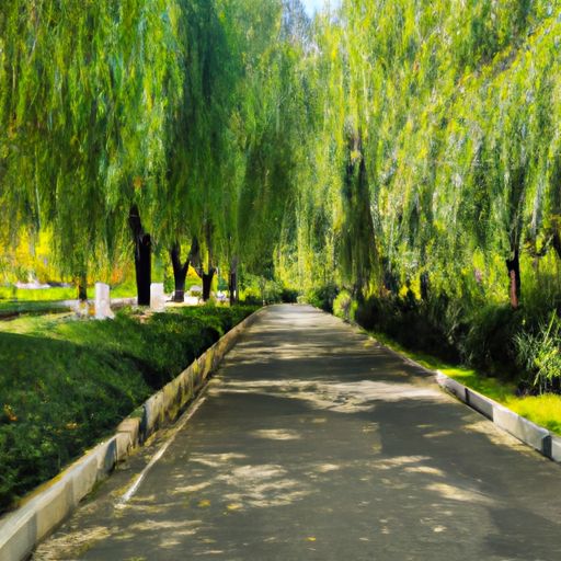 路侧俞杨柳是什么意思（路侧和路外是什么意思）