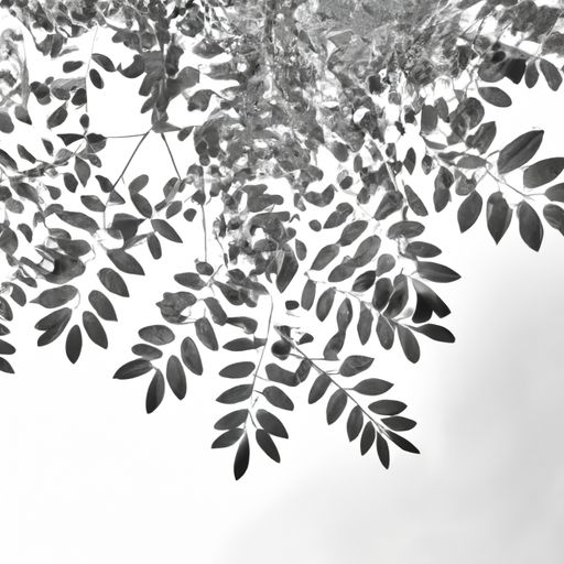 诗词中的叶什么意思（诗词里的叶是什么意思）