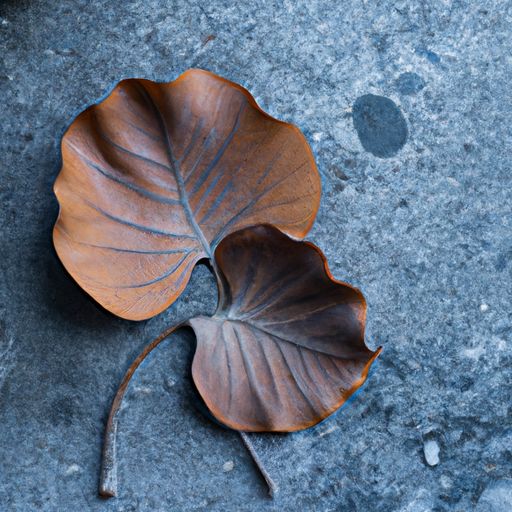 熏风什么节季有