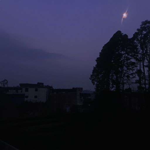 愿将花柳月 是什么意思
