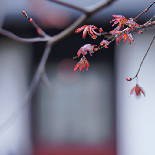 春雨的诗句意思是什么（春雨的诗句意思是什么呢）