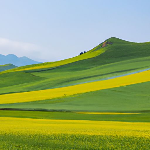 布谷什么中夏令新（布谷声中夏令新出自哪首古诗）