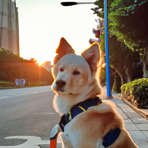 东望何悠悠什么意思（东望是什么意思）