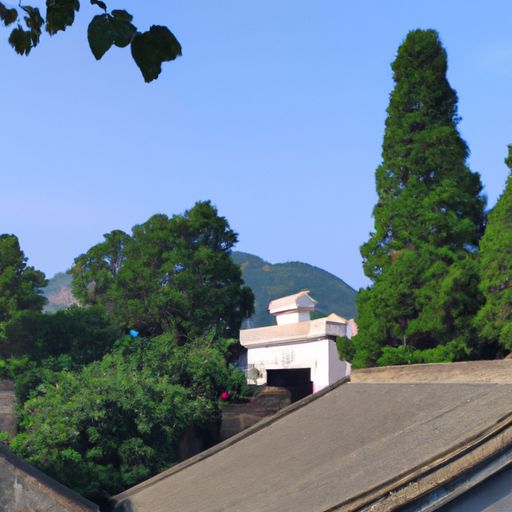 古诗的荣是什么意思（荣 古诗）