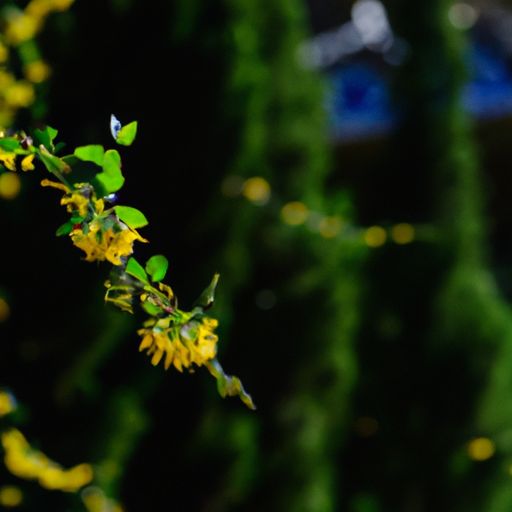 黄花榭对什么（黄花榭对什么意思）