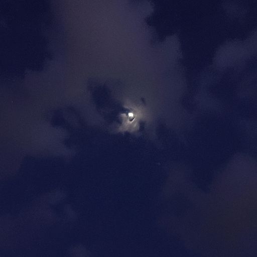 眉尖月是什么意思（眉尖的意思）
