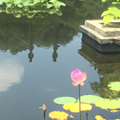 池上诗的采是什么意思（池上才的意思）