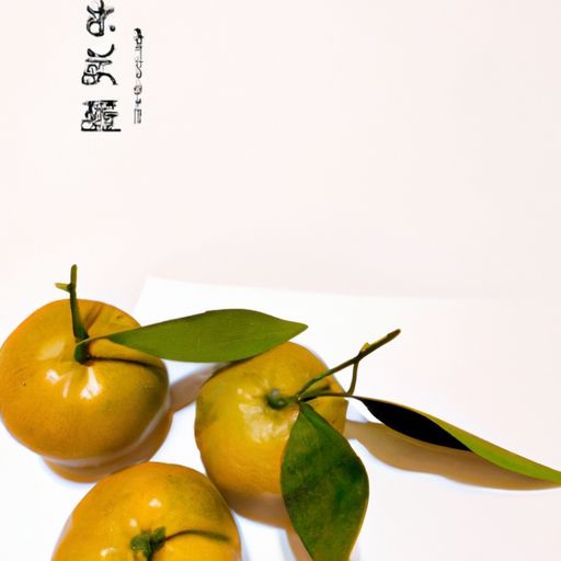 丹桔岁寒心是什么意思（丹橘什么意思）