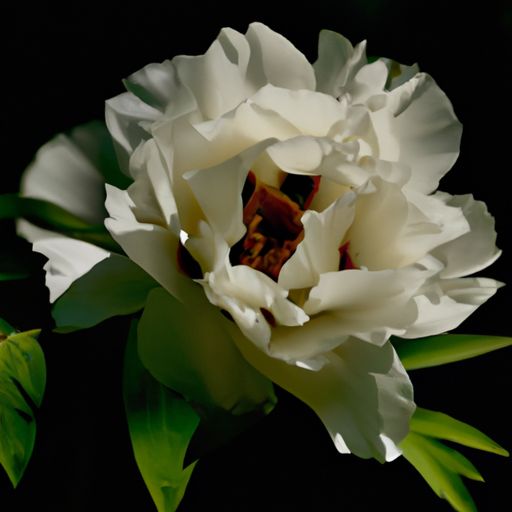 木兰辞属于什么诗（木兰辞属于什么诗体）