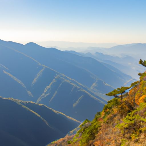 清平乐六盘山出自什么（清平乐六盘山清平乐是指什么）
