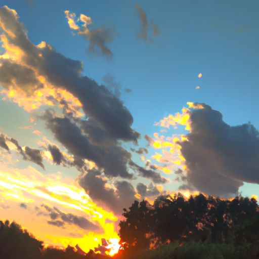 夕归什么意思（朝至夕归什么意思）