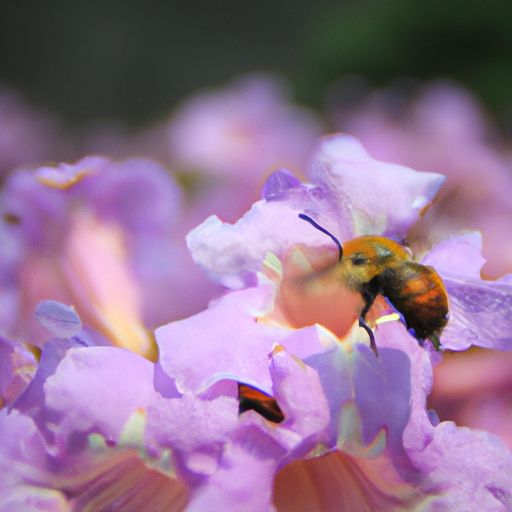 蜂唐什么颜色（蜂糖颜色哪种好）