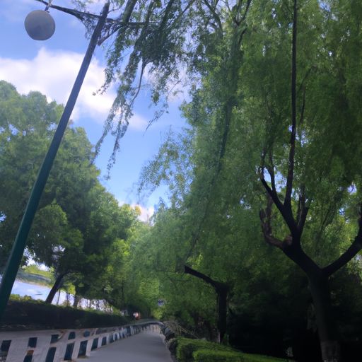 柳风斜后面是什么（柳风斜下一句）