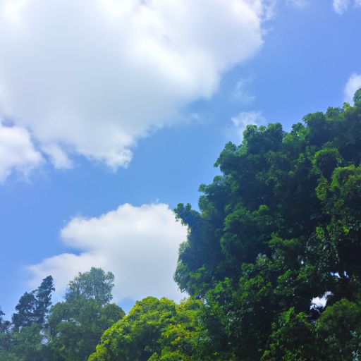 描写夏天的诗什么不同（描写夏天的诗是）