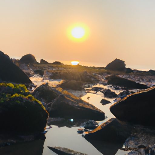 青苔半夕阳是什么意思（绿树青苔半夕阳是什么意思）