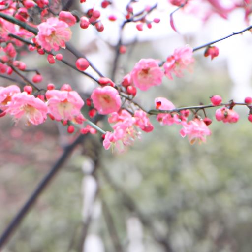 十分春意什么意思（十分春意什么意思啊）