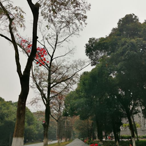 梧桐床护满什么意思