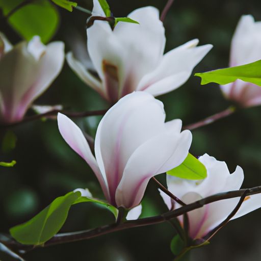赠花卿是什么诗（赠花卿是什么诗?）