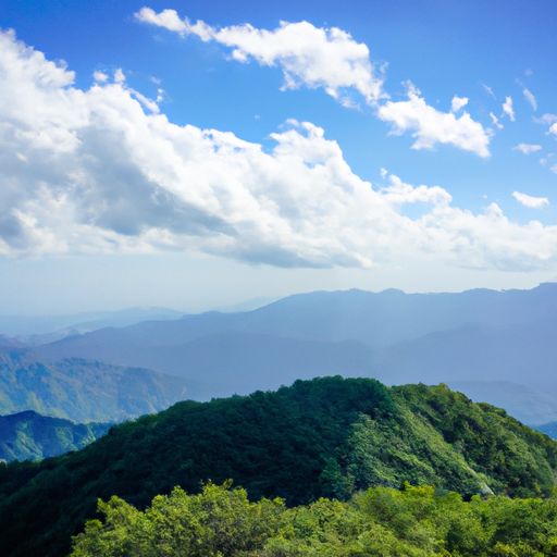 北山翁是什么成分（北山翁是什么成分的茶）