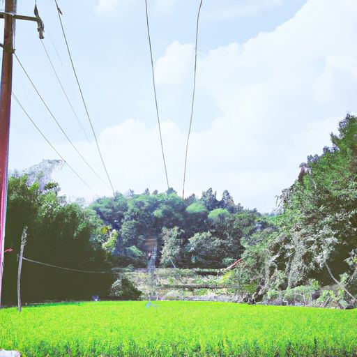 还有什么描写夏天的诗（还有什么描写夏天的诗句）