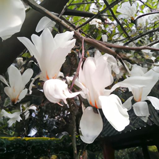 相逢白花间是什么时候（相逢白花间是什么时候出的歌）