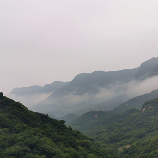 青霭入看无是什么意思