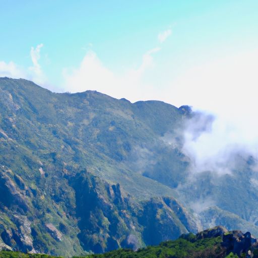 青山日将瞑什么意思（青山日将暝）