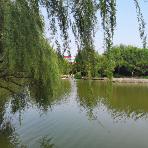 新柳古诗的意思是什么意思（新柳古诗的意思是什么意思啊）