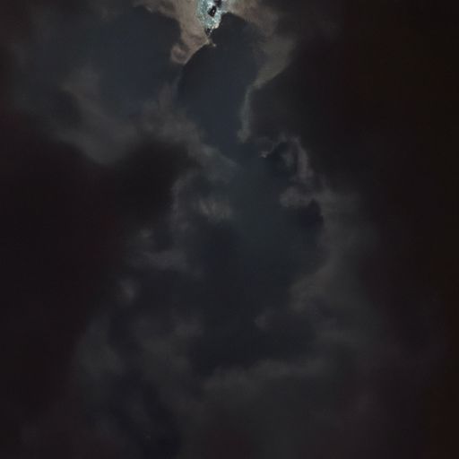 悲海月是什么意思（悲海月是指十二生肖什么动物）