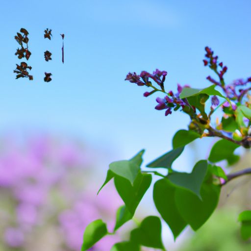 盛年不重来 是什么古诗（盛年不重来 是什么古诗句）