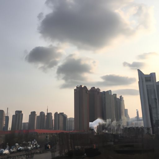 白日曛 是什么（白日曛是什么意思）