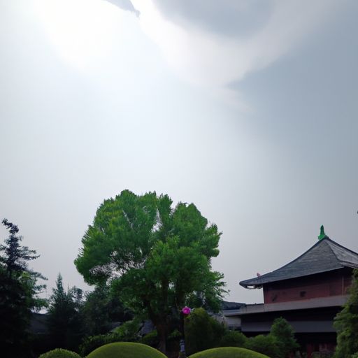 对诗赞美的句子是什么意思是什么（对诗的赞美句子有哪些）
